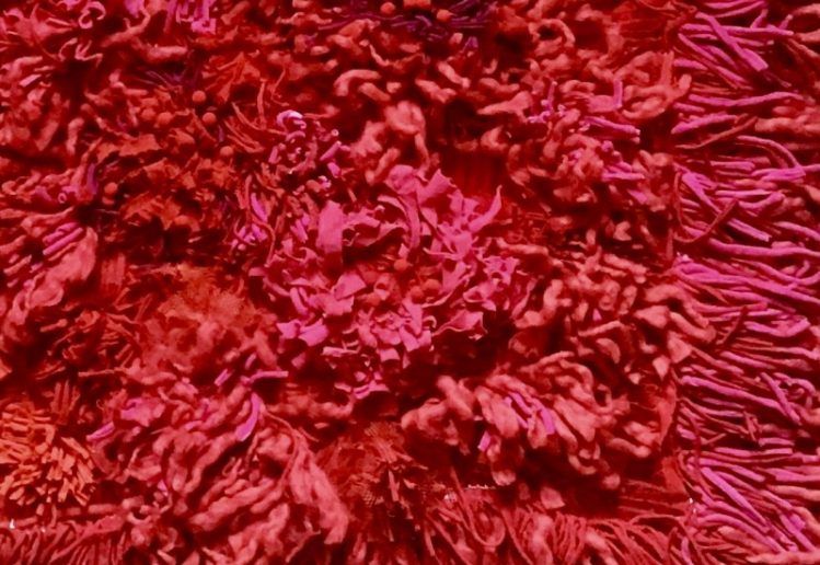 Mariya Marinova fiber art “Profondo Rosso”, tapestry, filati naturali e sintetici, 2019-2020 / particolare